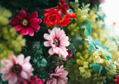 Сделай сам: букеты из красных гибридных чайных роз: придайте своему дому элегантность с помощью изящных цветочных композиций